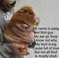 Image result for Big Chonk Bob