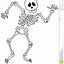 Image result for Cute Cartoon Skeleton