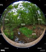 Image result for Fisheye Lens Path