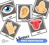 Image result for My 5 Senses Printable Worksheets