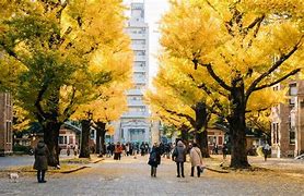 Image result for Atsushi Fujimori University of Tokyo