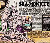 Image result for sea monkeys ad comic books