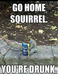 Image result for Squirrel Marine Meme