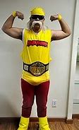 Image result for Defonia Costume Wrestling Belt