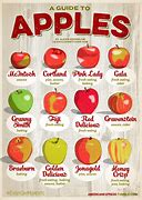 Image result for 3 Types of Apple's