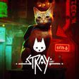 Image result for Stray X the Record