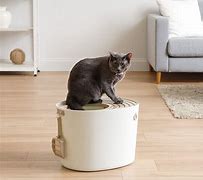 Image result for Best Cat Litter Box