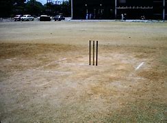 Image result for Back Yard Wicket Camera