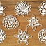 Image result for Free Cricut Patterns