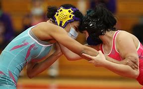 Image result for Types of Wrestling Matches