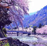 Image result for Japan Nature Desktop Wallpaper