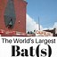 Image result for Largest Baseball Bat