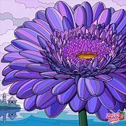 Image result for August Flower Drawing