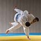 Image result for Judo Body