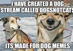 Image result for Stoner Dog Meme