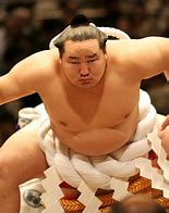 Image result for Sumo Wrestler Man