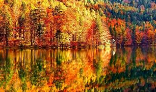 Image result for Autumn Wallpaper Trees Lake