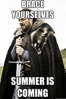 Image result for BRACE Yourself Summer Is Coming