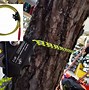 Image result for Tree Climbing Gear