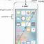 Image result for Silver Apple iPhone SE
