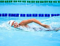 Image result for Swimming Free-Body