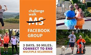 Image result for The D'aventure Challenge