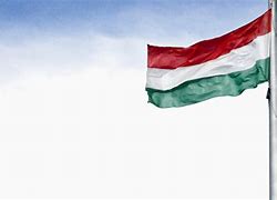 Image result for Hungary Flag