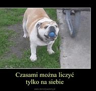 Image result for co_to_za_Żyje_się_tylko_dwa_razy