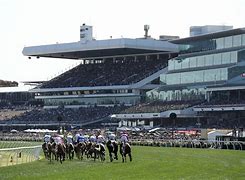 Image result for Melbourne Cup Race Track