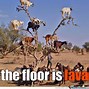 Image result for Desert Animals Meme