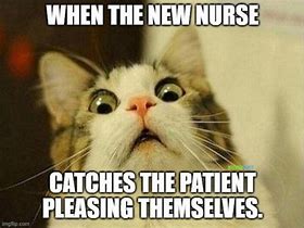 Image result for New Nurse Memes