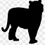 Image result for Black Cat Shadow