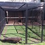 Image result for Zoo Animal Cage