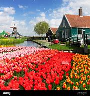 Image result for Holland Scenery