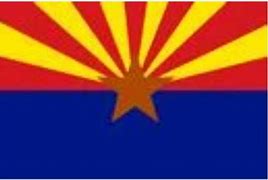 Image result for arizona flag history