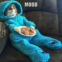 Image result for Funny Mood