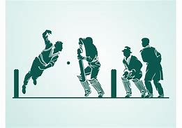 Image result for Cricket Vector Pics