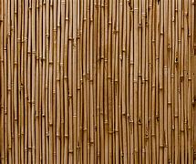 Image result for Bamboo Wall Texture