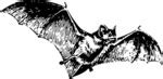 Image result for MRF Bat Stickers