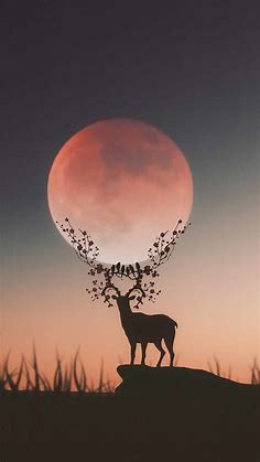 Deer Silhouette Moon iPhone Wallpaper - iPhone Wallpapers : iPhone ...