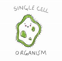 Image result for Cute Cell Drawing