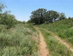 Image result for Boyd Cuvee Big Ranch