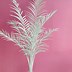 Image result for Palm Tree Decor