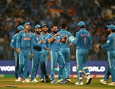 Image result for Cricket World Cup Wins