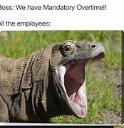 Image result for Voluntary Overtime Meme