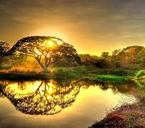 Image result for HP Wallpaper Nature