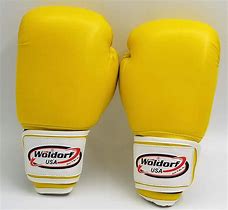 Image result for Costume Boxing Gloves