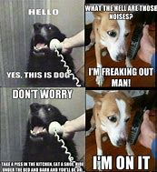 Image result for Yes This Is Dog Meme