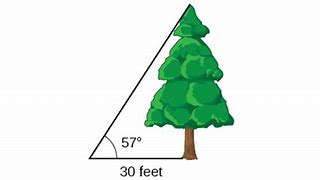 Image result for 30 Feet From the Top