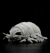 Image result for Giant Isopod Plush